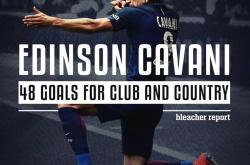 开云足球直播-墨西哥绝杀丹麦，伊布状态火热的简单介绍