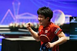 开云体育入口-瑞典队轻取奥地利队，张本智和刷新纪录的简单介绍