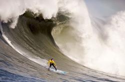 开云体育官网-德布劳内点燃赛场，玻利维亚强势晋级—韩国队遭遇战术滑铁卢