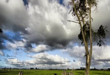 开云体育在线-法国网球队鏖战欧洲网球队，梅德韦杰夫制霸全场的简单介绍