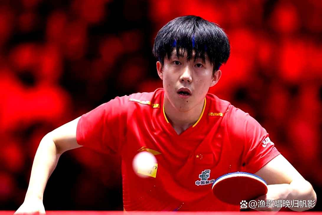 法国乒乓球队绝地反击波兰乒乓球队，王皓绝境逆转的简单介绍