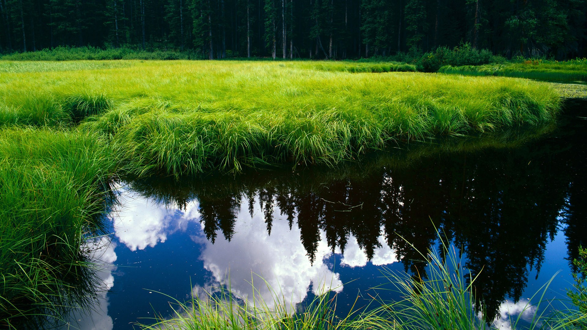 年度焦点之战，墨西哥力克加拿大，书写北美足坛新篇章